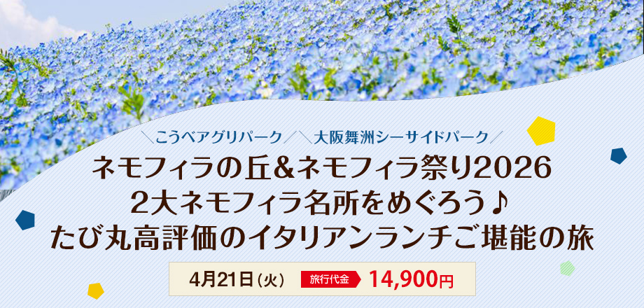 【京都】ネモフィラの丘＆ネモフィラ祭り