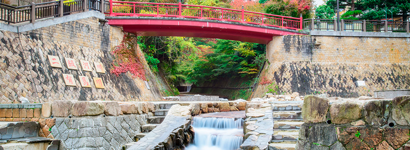 ＼日本三古湯のひとつ／有馬温泉街散策といちご狩り体験＆中華オーダーバイキングランチの旅