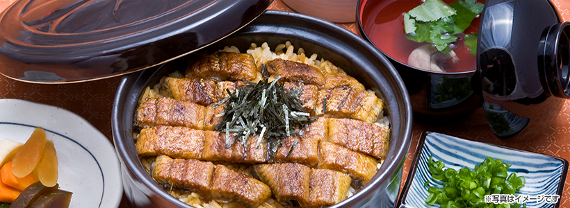 徳川美術館で江戸時代から近代に至る「尾張徳川家のひな祭り」ひつまぶし ランチと徳川園見学の旅♪