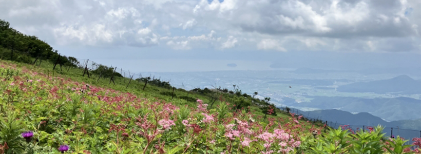 赤い日の丸観光バスで青空へ駆け上がる！伊吹山・天空のお花畑★のんびり散歩＆最優秀！近江牛づくし鉄板焼きコース